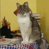 Отзыв от Нелли Шмелева